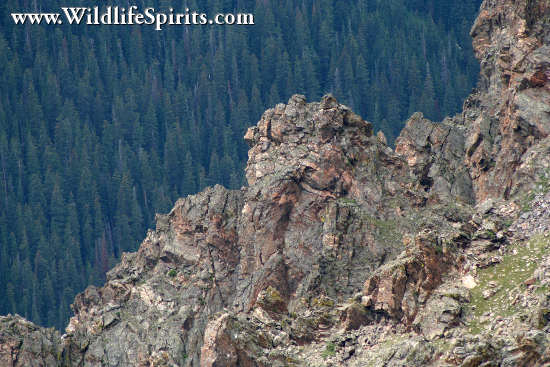 Click Picture to send as an  E-PostCard 63k 550x367